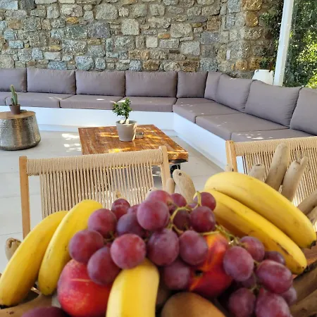 Zelia Bed & Breakfast